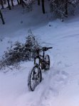 IMG_1314.JPG
