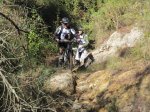 IMG_4618 (Copiar).JPG