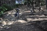 DSC_0234.JPG