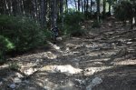 DSC_0242.JPG