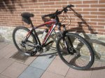 bicicleta 001.jpg