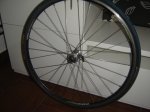 DSC00042.JPG