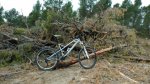 DSC_0050.jpg