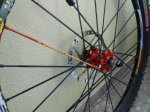 DSCN4178.JPG