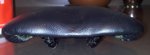 20130217_204418.jpg
