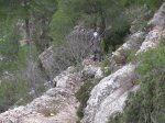IMG_4651 (Copiar).JPG
