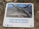 IMG_4655 (Copiar).JPG