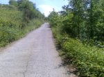 06062007036.jpg