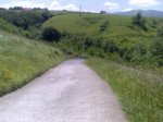 06062007035.jpg