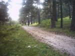 cerce8.6.07 021.jpg