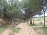 de motaralaz. 4.JPG