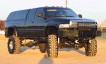 SHRTPMP-3r.jpg