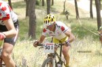 S M Valdeiglesias 075.jpg