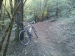 Haibike.jpg