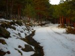 Foto7.JPG