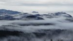 DSC07443.JPG