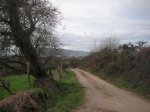 PICT0007.JPG