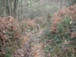 PICT0022.JPG