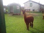 IMG-20140126-WA0017.jpg