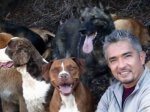 cesar millan.jpg