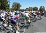 tdu14st6_peloton1.jpg