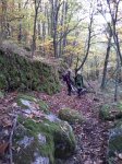 IMG_20131110_120942.jpg