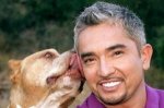 Animales-en-video-cesar-millan-encantador-de-perros-300x199.jpg
