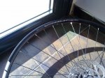 10052010609.jpg