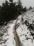 2014-01-30 11.49.39.jpg