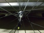 Mavic05.jpg