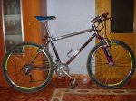 DSC04654.JPG
