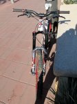 IMG_4286.JPG