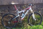 torpado-2.jpg