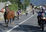 tds07st5_horse.jpg