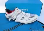 zapatilla shimano.jpg