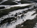 PICT0067.JPG