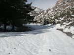 PICT0079.JPG