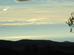 IMG_4422.JPG