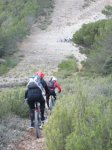IMG_4444.JPG