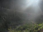 IMG_1039.JPG