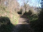 PICT0012.JPG