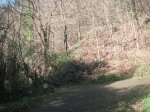 PICT0016.JPG