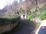 PICT0019.JPG