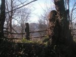 PICT0050.JPG