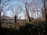 PICT0051.JPG