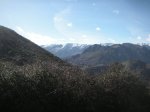PICT0084.JPG