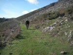 PICT0097.JPG