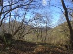 2014-02-02 12.57.44.jpg