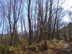2014-02-02 12.59.38.jpg