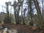 2014-02-02 12.59.44.jpg
